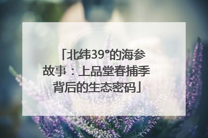 北纬39°的海参故事：上品堂春捕季背后的生态密码