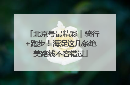 北京号最精彩｜骑行+跑步！海淀这几条绝美路线不容错过