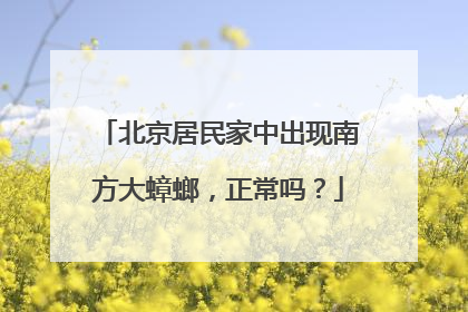 北京居民家中出现南方大蟑螂，正常吗？