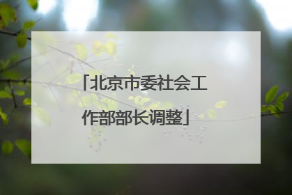 北京市委社会工作部部长调整