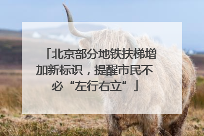北京部分地铁扶梯增加新标识，提醒市民不必“左行右立”