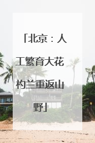 北京：人工繁育大花杓兰重返山野