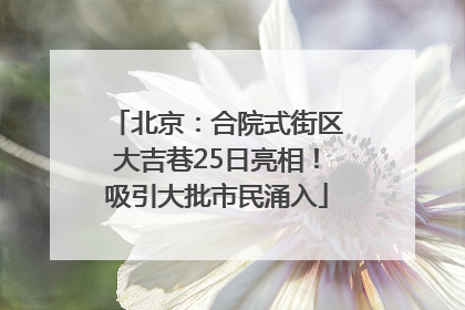北京：合院式街区大吉巷25日亮相！吸引大批市民涌入