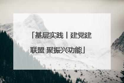基层实践丨建党建联盟 聚振兴功能
