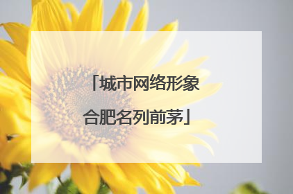 城市网络形象合肥名列前茅