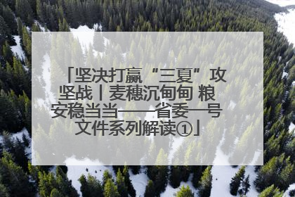 坚决打赢“三夏”攻坚战丨麦穗沉甸甸 粮安稳当当——省委一号文件系列解读①