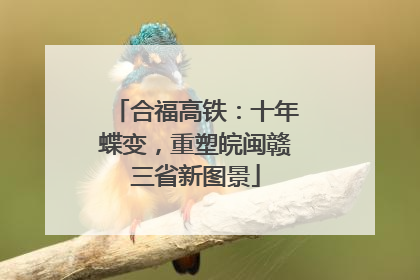 合福高铁：十年蝶变，重塑皖闽赣三省新图景