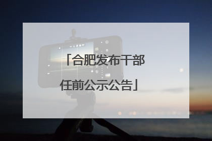 合肥发布干部任前公示公告