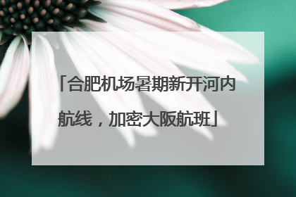 合肥机场暑期新开河内航线，加密大阪航班