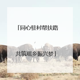 同心驻村帮扶路 共筑瑶乡振兴梦