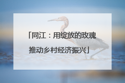 同江：用绽放的玫瑰 推动乡村经济振兴
