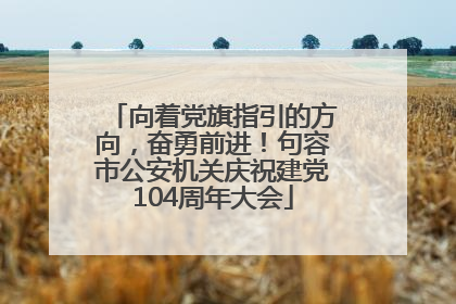 向着党旗指引的方向，奋勇前进！句容市公安机关庆祝建党104周年大会