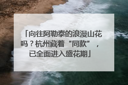 向往阿勒泰的浪漫山花吗？杭州藏着“同款”，已全面进入盛花期