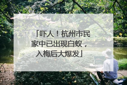 吓人！杭州市民家中已出现白蚁，入梅后大爆发