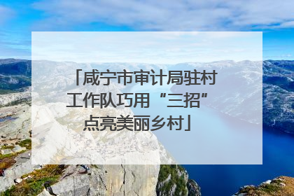 咸宁市审计局驻村工作队巧用“三招”点亮美丽乡村