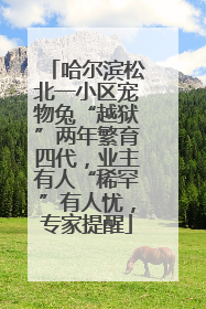 哈尔滨松北一小区宠物兔“越狱”两年繁育四代，业主有人“稀罕”有人忧，专家提醒