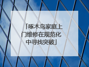 啄木鸟家庭上门维修在规范化中寻找突破