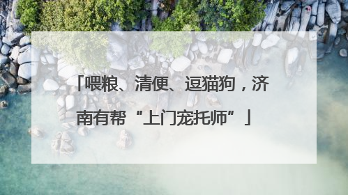 喂粮、清便、逗猫狗，济南有帮“上门宠托师”