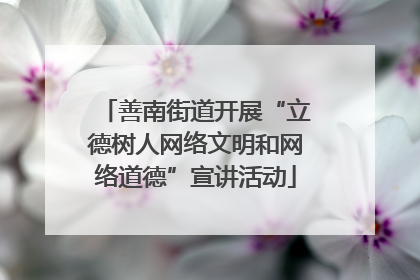 善南街道开展“立德树人网络文明和网络道德”宣讲活动