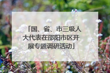 国、省、市三级人大代表在邵阳市区开展专题调研活动