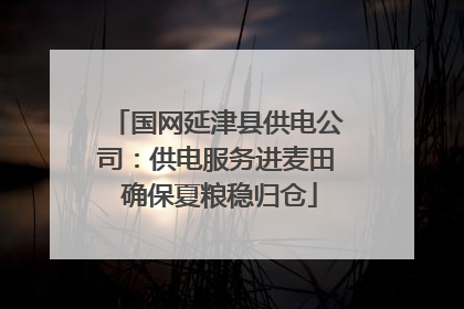 国网延津县供电公司：供电服务进麦田 确保夏粮稳归仓