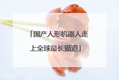 国产人形机器人走上全球最长猫道