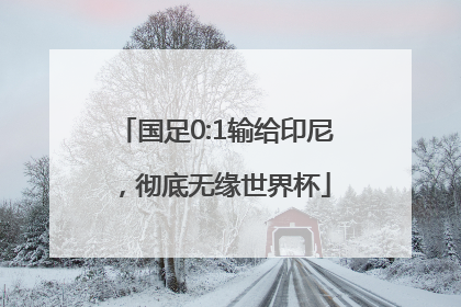 国足0:1输给印尼，彻底无缘世界杯