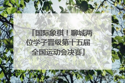 国际象棋！聊城两位学子晋级第十五届全国运动会决赛