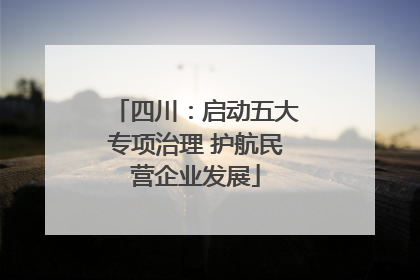 四川：启动五大专项治理 护航民营企业发展