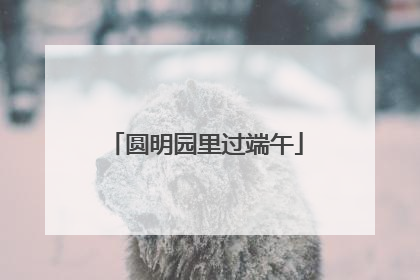 圆明园里过端午