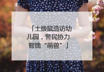 土拨鼠造访幼儿园，警民协力智擒“萌兽”