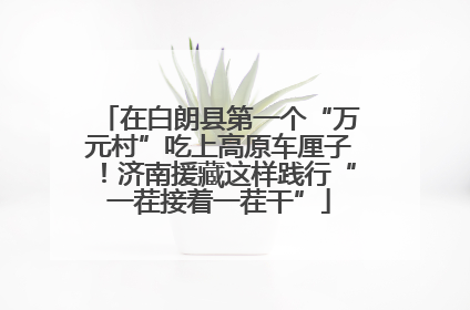 在白朗县第一个“万元村”吃上高原车厘子！济南援藏这样践行“一茬接着一茬干”