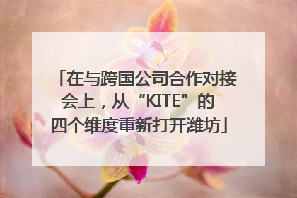 在与跨国公司合作对接会上，从“KITE”的四个维度重新打开潍坊