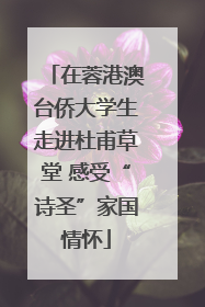 在蓉港澳台侨大学生走进杜甫草堂 感受“诗圣”家国情怀