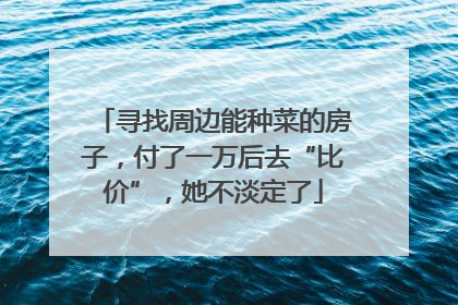 寻找周边能种菜的房子，付了一万后去“比价”，她不淡定了