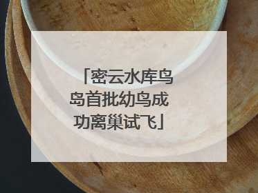 密云水库鸟岛首批幼鸟成功离巢试飞