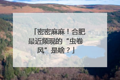 密密麻麻！合肥最近频现的“虫卷风”是啥？