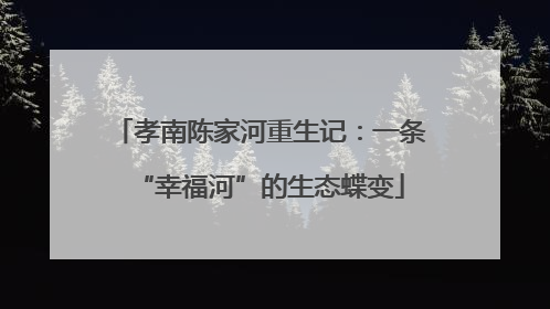 孝南陈家河重生记：一条“幸福河”的生态蝶变