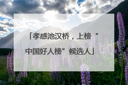 孝感池汉桥，上榜“中国好人榜”候选人