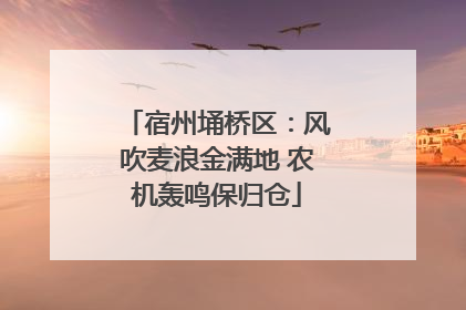 宿州埇桥区：风吹麦浪金满地 农机轰鸣保归仓