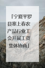 宁夏平罗县塞上春农产品行业工会开展工资集体协商