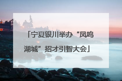 宁夏银川举办“凤鸣湖城”招才引智大会