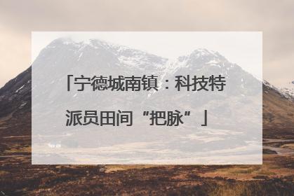 宁德城南镇：科技特派员田间“把脉”