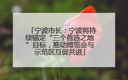 宁波市长：宁波将持续锚定“三个首选之地”目标，推动博览会与示范区互促共进