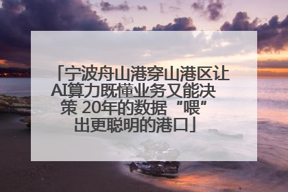 宁波舟山港穿山港区让AI算力既懂业务又能决策 20年的数据“喂”出更聪明的港口