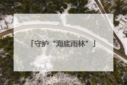 守护“海底雨林”