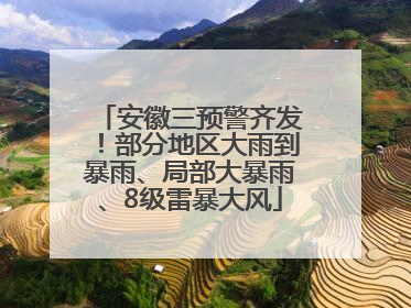 安徽三预警齐发！部分地区大雨到暴雨、局部大暴雨、8级雷暴大风