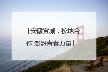 安徽宣城：校地合作 澎湃青春力量
