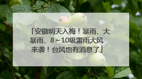 安徽明天入梅！暴雨、大暴雨、8～10级雷雨大风来袭！台风也有消息了