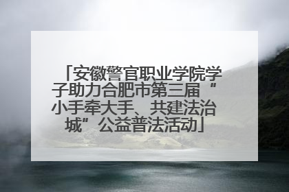 安徽警官职业学院学子助力合肥市第三届“小手牵大手、共建法治城”公益普法活动